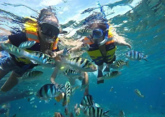 Bobo Nusa Lembongan