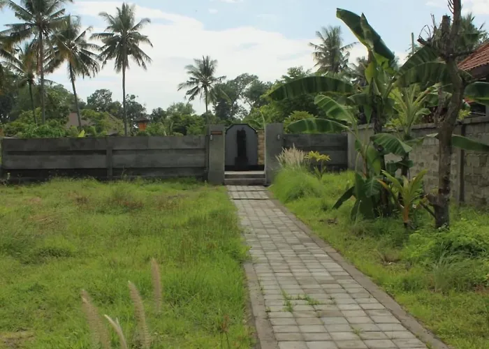 Bobo * Nusa Lembongan