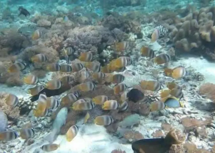 Privatunterkunft Bobo Nusa Lembongan